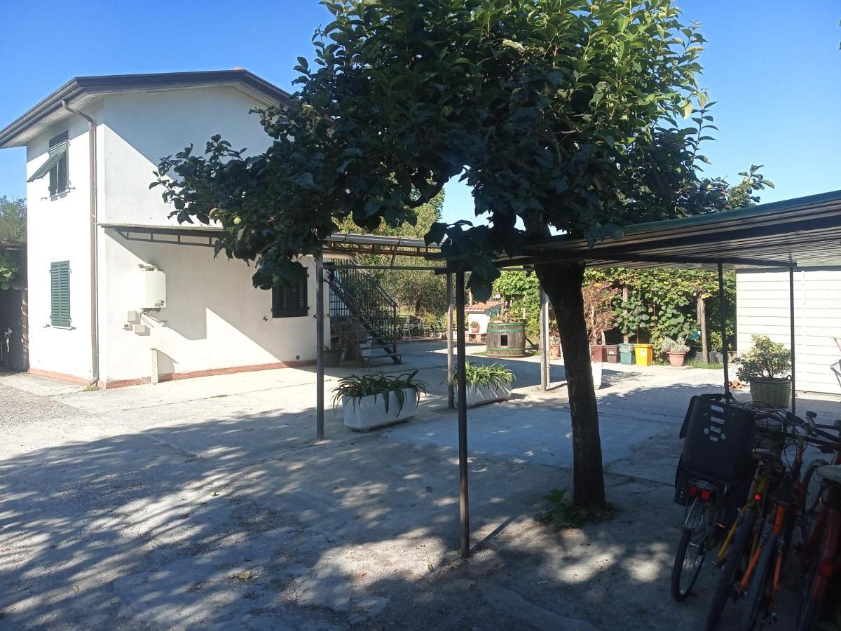 Bed and Breakfast Nonna Piera Marina Di Carrara Esterno foto