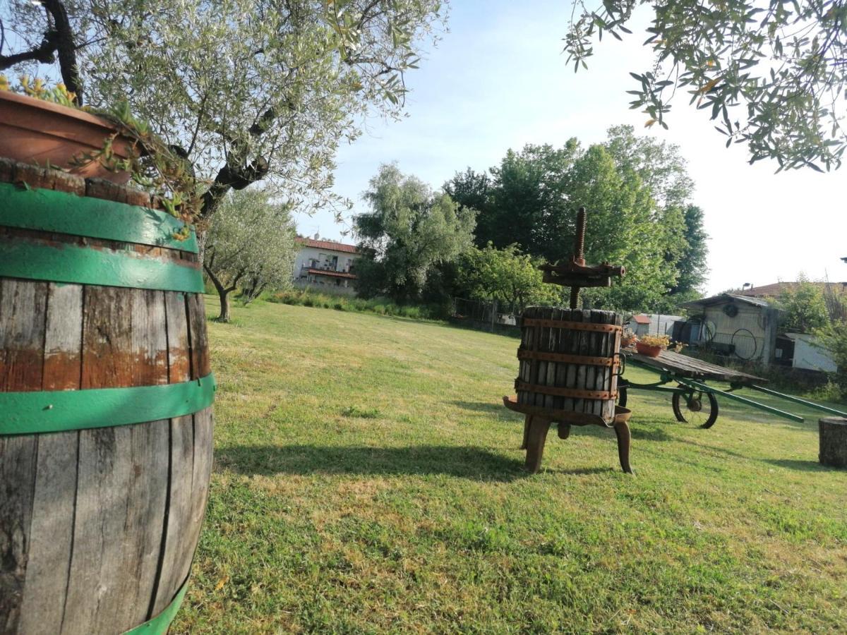 Bed and Breakfast Nonna Piera Marina Di Carrara Esterno foto