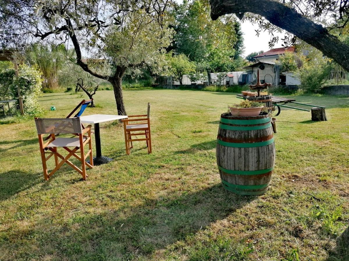 Bed and Breakfast Nonna Piera Marina Di Carrara Esterno foto