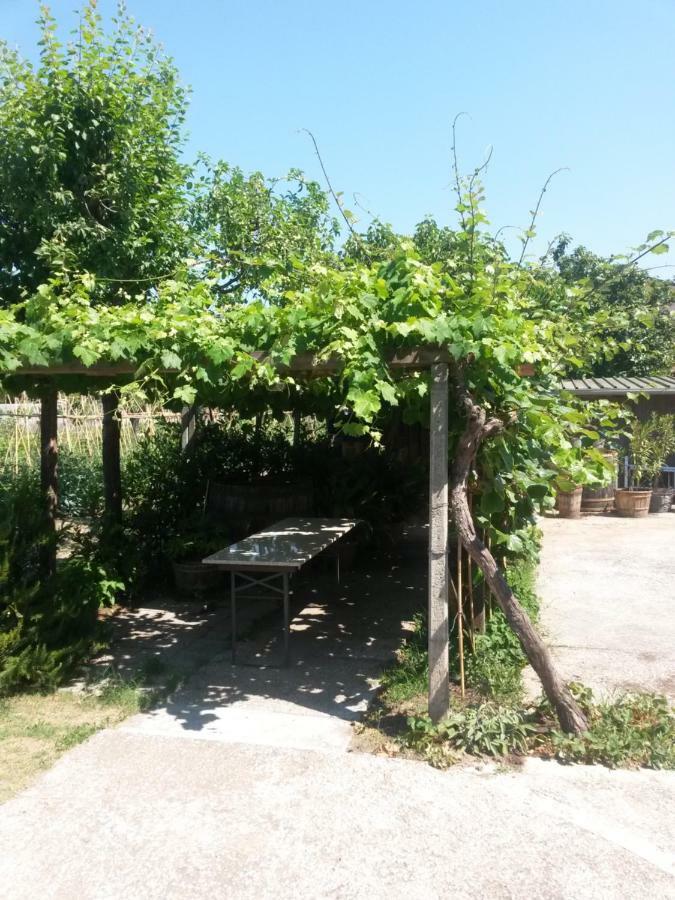 Bed and Breakfast Nonna Piera Marina Di Carrara Esterno foto