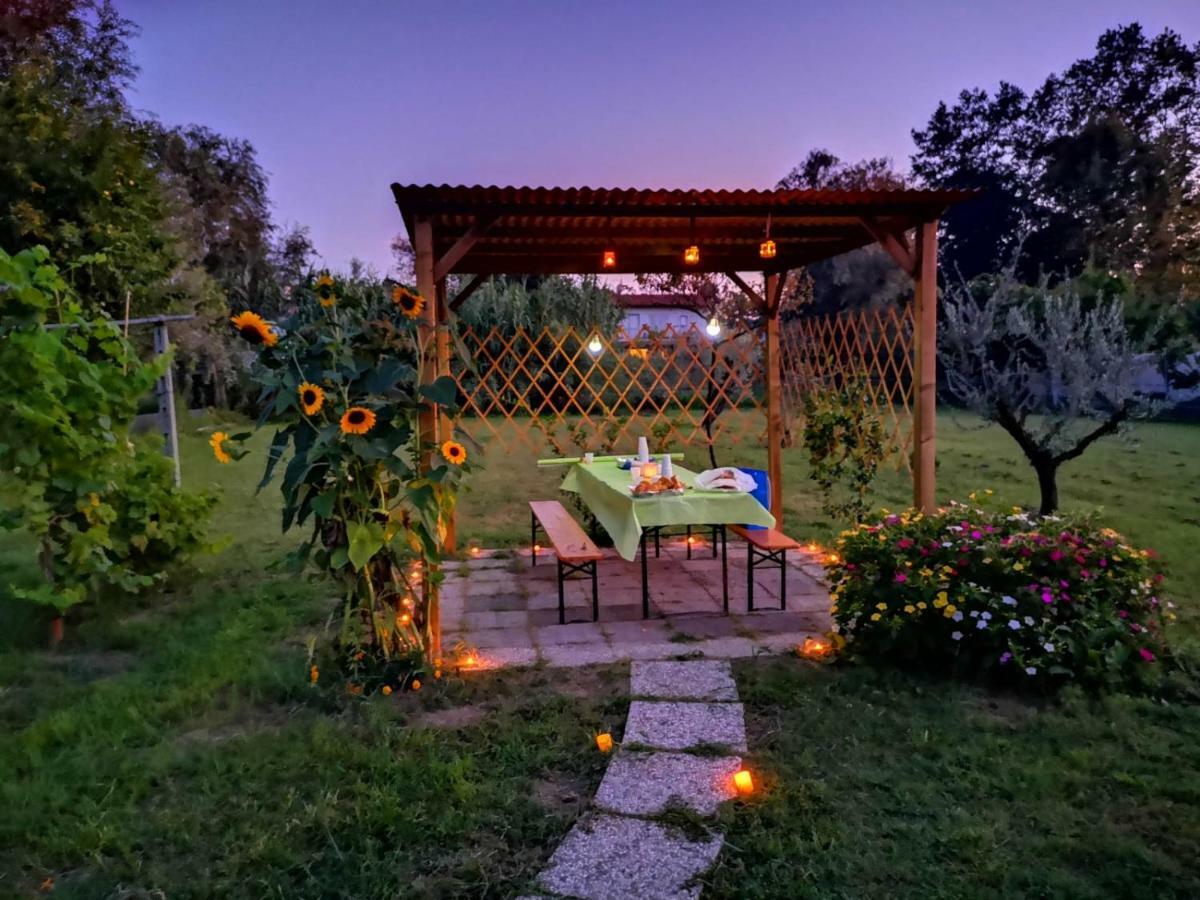 Bed and Breakfast Nonna Piera Marina Di Carrara Esterno foto